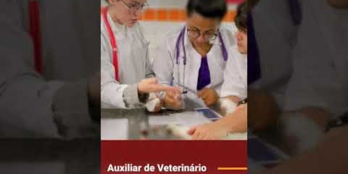 Eletrocardiograma Veterinário: A Chave para a Saúde do Coração dos Seus Animais